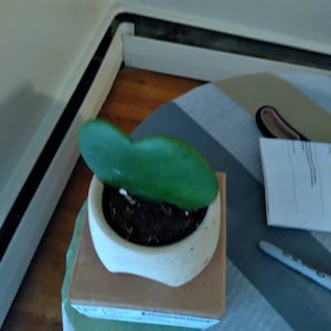 Johnetta added a photo of their purchase