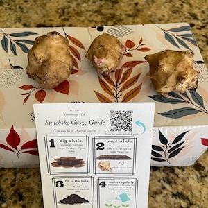 Shirley added a photo of their purchase