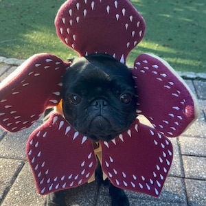 Beth added a photo of their purchase