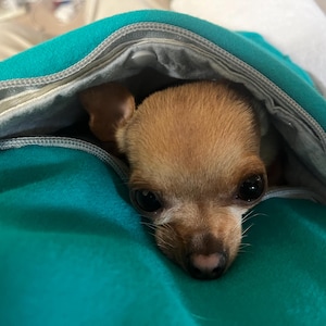 Judy added a photo of their purchase