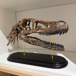 Pascal added a photo of their purchase