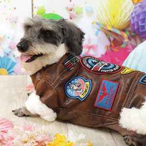 Dog flight jacket deals