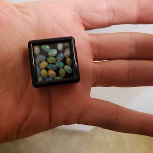 James added a photo of their purchase