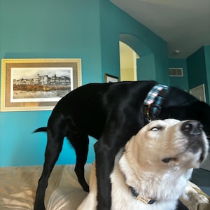 Etsy buyer added a photo of their purchase