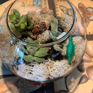 Cori added a photo of their purchase