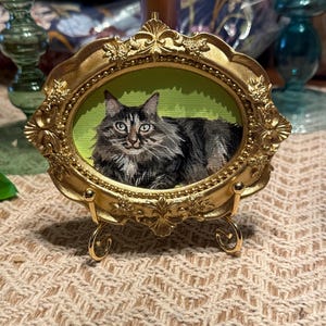 Kelsey added a photo of their purchase