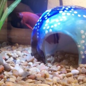 Amy added a photo of their purchase