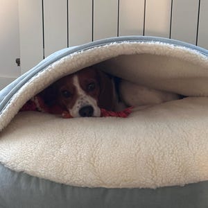 Cama Elevada Perro Grande Cama Donut Para Mascotas Felpa Suave