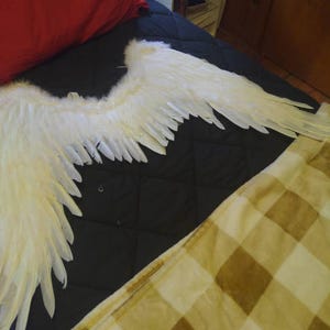 Laurel added a photo of their purchase