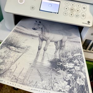 Kim added a photo of their purchase