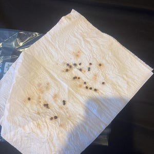 Comprador de Etsy ha añadido una foto de su compra
