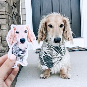 Ashley added a photo of their purchase