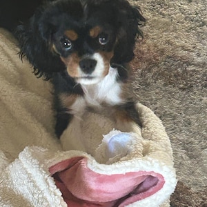 KIMBERLY added a photo of their purchase