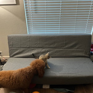 gina added a photo of their purchase
