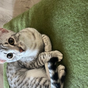 Heather dodał(a) zdjęcie swoich zakupów