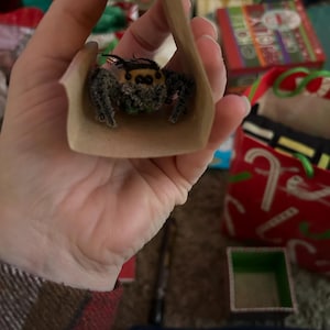 Etsy buyer added a photo of their purchase