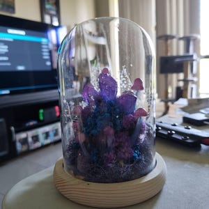 Luke added a photo of their purchase
