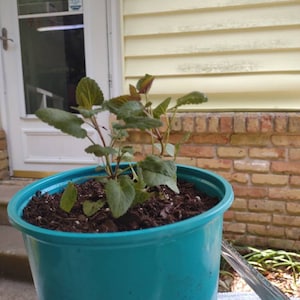 Sherrill added a photo of their purchase