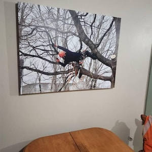 Krista heeft een foto van de aankoop toegevoegd