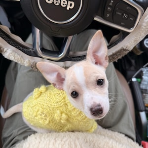 shyla added a photo of their purchase