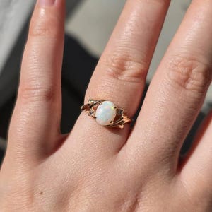 Natalie added a photo of their purchase