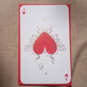 ashanti added a photo of their purchase