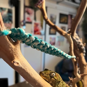 Jenna added a photo of their purchase