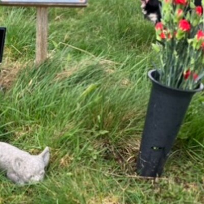 Stone/ Concrete Bird Bath TOP - Etsy