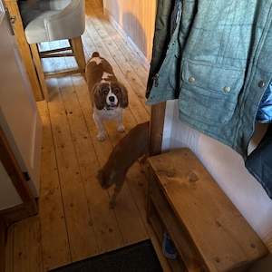 Sara added a photo of their purchase