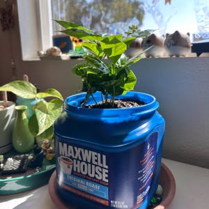 Thao added a photo of their purchase