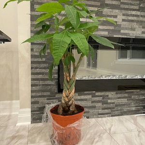 nhi ha añadido una foto de su compra