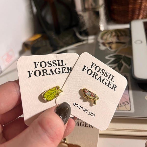 Number 1 Bug Enthusiast Iron-on Patch / Entomologist / Entomology ...