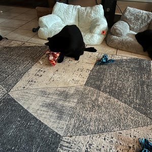 Tabatha added a photo of their purchase