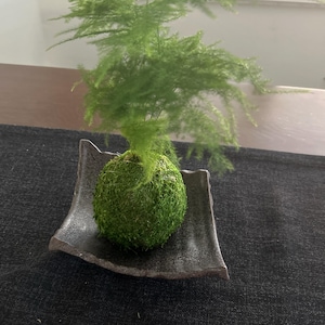 Melissa ha aggiunto una foto del proprio acquisto