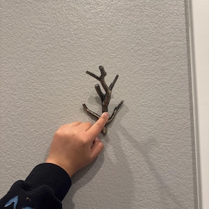 Janelle ha aggiunto una foto del proprio acquisto
