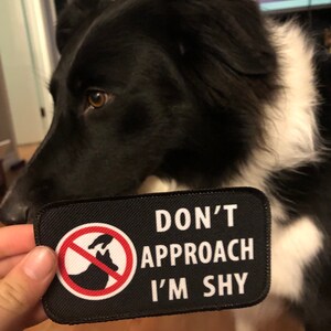 Do Not Approach Im Shy Dog Patch for Cape Vest Harness Choose