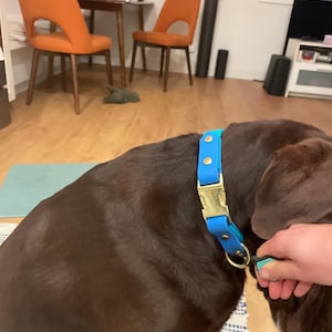 Milo added a photo of their purchase