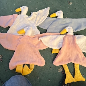 Carol added a photo of their purchase