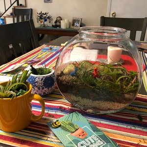 Corinne added a photo of their purchase
