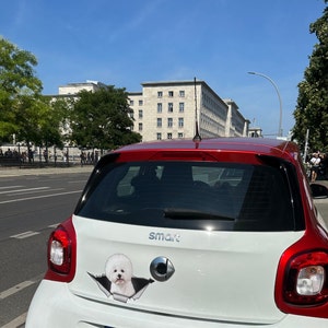 Manuela added a photo of their purchase