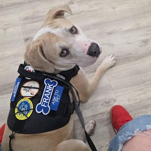 Awesome added a photo of their purchase