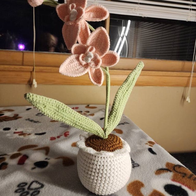 かぎ針編みの花 鉢植え 白い蘭 造花 編み花 手作りの花 自宅 部屋