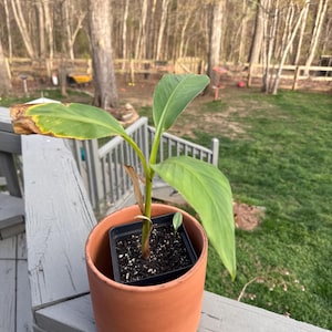 Jonathan ha aggiunto una foto del proprio acquisto