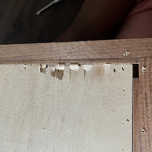 Olei hat ein Foto des gekauften Artikels hinzugefügt