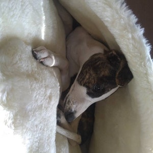 Sanne added a photo of their purchase
