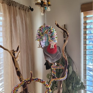 Laura added a photo of their purchase