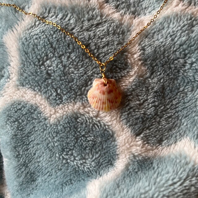 【as\"on】25ss SEASHELL NECKLACE Seashell Necklace – Stella & Tide