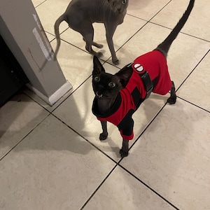 Arielle added a photo of their purchase