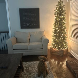 Jen added a photo of their purchase