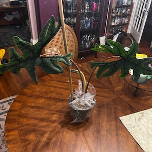 Julia ha añadido una foto de su compra